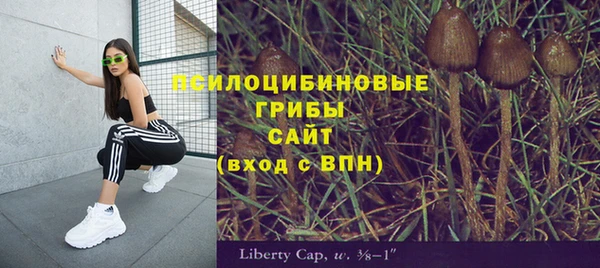 трава Абинск