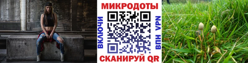 Псилоцибиновые грибы Cubensis где найти наркотики Тырныауз