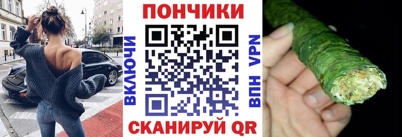 даркнет сайт  Тырныауз  Бошки марихуана сатива 